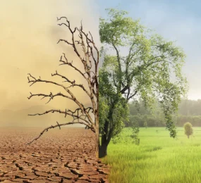 REFLECTING ON CLIMATE AND GENDER AT COP27: HOW CAN COMPANIES TAKE ACTION IN 2023 AND BEYOND?