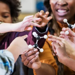 EQUALITY AND THE STEM PIPELINE