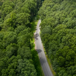 THE ROADMAP TO NET-ZERO: COMMIT, MEASURE, REDUCE AND CONTRIBUTE TO EMISSION REDUCTION PROJECTS