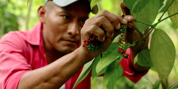 Guatemala%2520_2.png